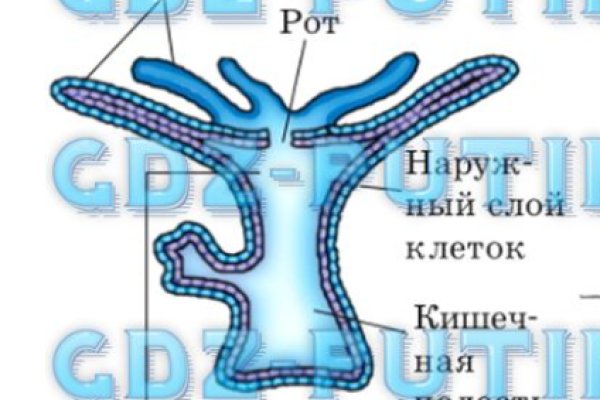 Как найти ссылку на кракен