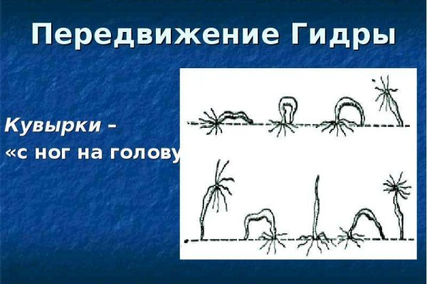 Как зарегистрироваться на кракене из россии