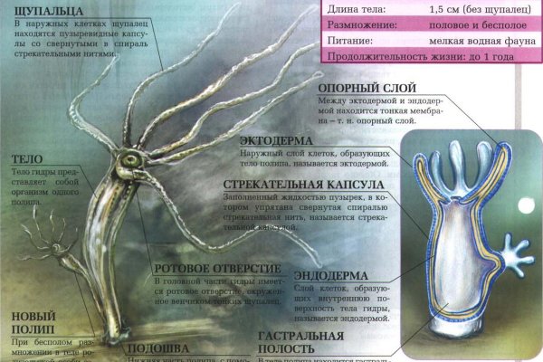 Где брать ссылки на кракен