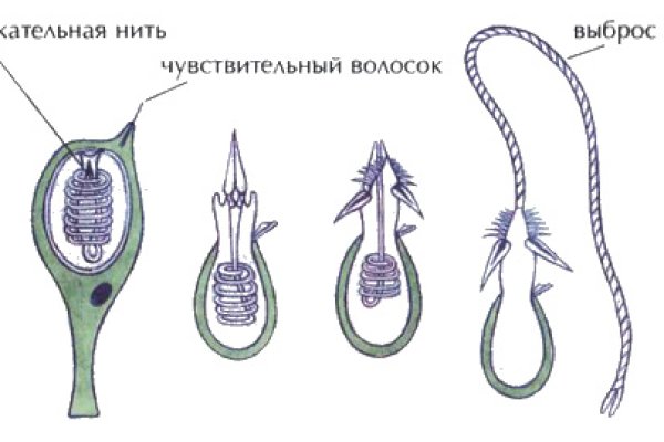 Кракен официальная ссылка kraken torion